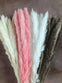 Pampas Dried Floral