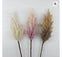 Artificial Pampas Plume Stem