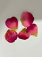 Silk Petals-Dark Rose