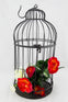 Birdcage - Bronze