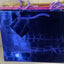 Metallic gift bags