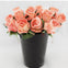 Rose bouquet -peach  6 head