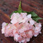 Hydrangea Peach Pink